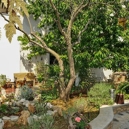 Finida דירה פורץ